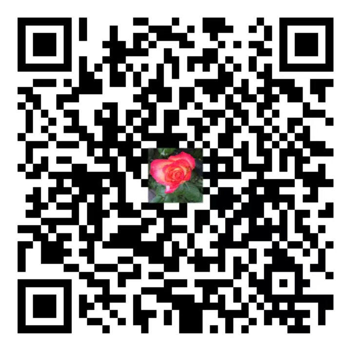 qrcode alipay